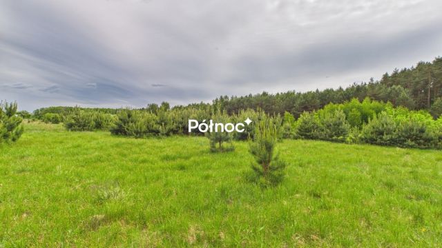 Działka budowlana Dobry Las. Zdjęcie 12
