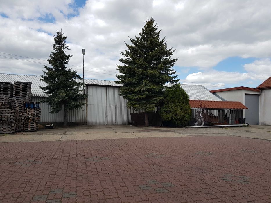 Hala/magazyn Kałuszyn, ul. Warszawska. Zdjęcie 6