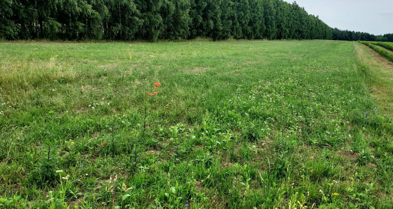 Działka rolno-budowlana Osinki. Zdjęcie 1