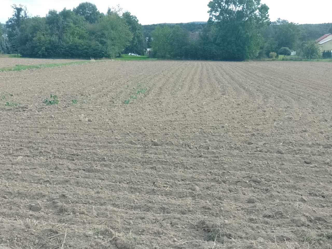 Działka budowlana Moszczanka