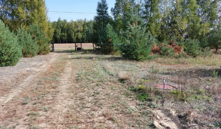 Działka rolno-budowlana Kazimierzów