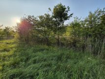 Działka budowlana Żary Kunice Żarskie, ul. gen. Ludwika Bittnera. Zdjęcie 3