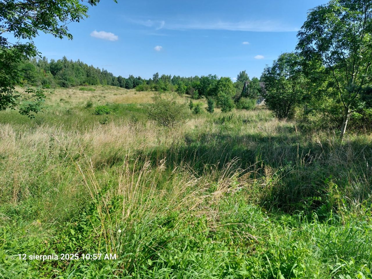 Działka rolna Leleszki. Zdjęcie 7