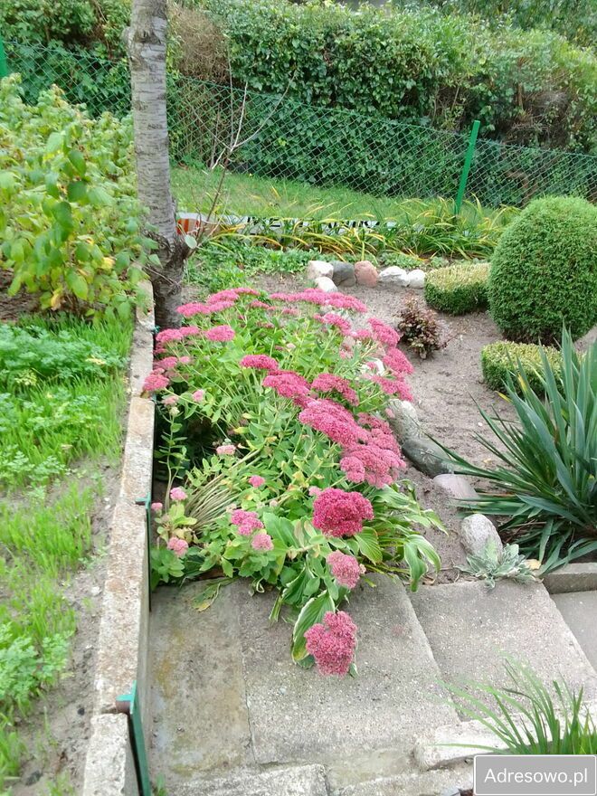 Działka rod Iława. Zdjęcie 11