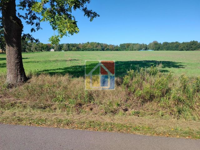 Działka rolna Zaborów Nowy. Zdjęcie 2