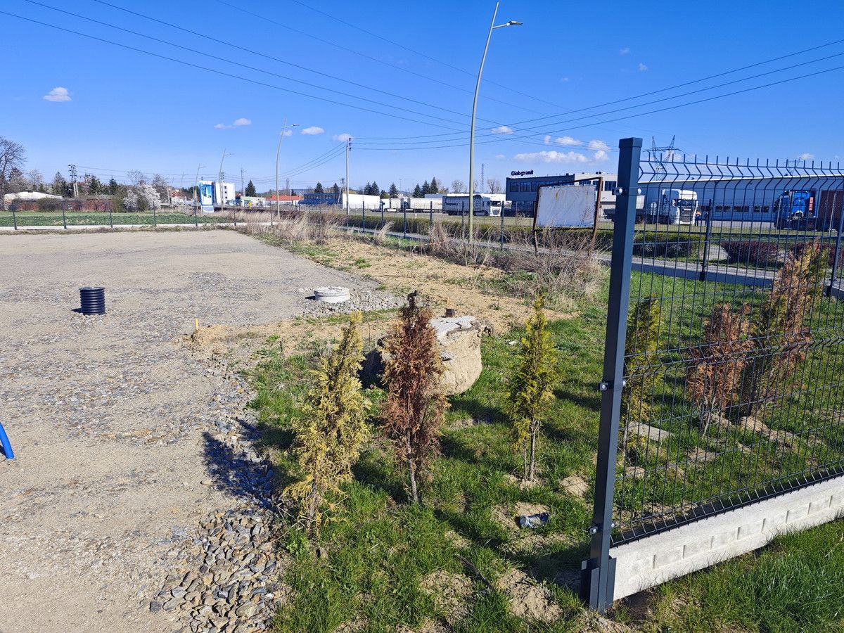 Działka budowlana Pieszyce, ul. Tadeusza Kościuszki. Zdjęcie 7