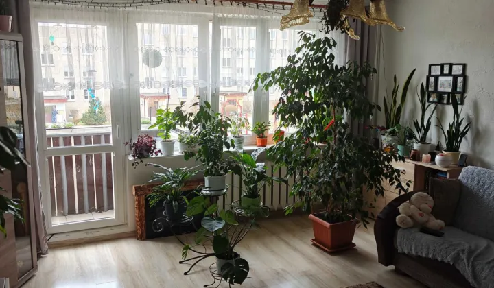 Mieszkanie 3-pokojowe Suwałki, ul. Wincentego Witosa