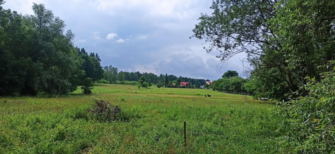 Działka budowlana Tenczynek. Zdjęcie 3