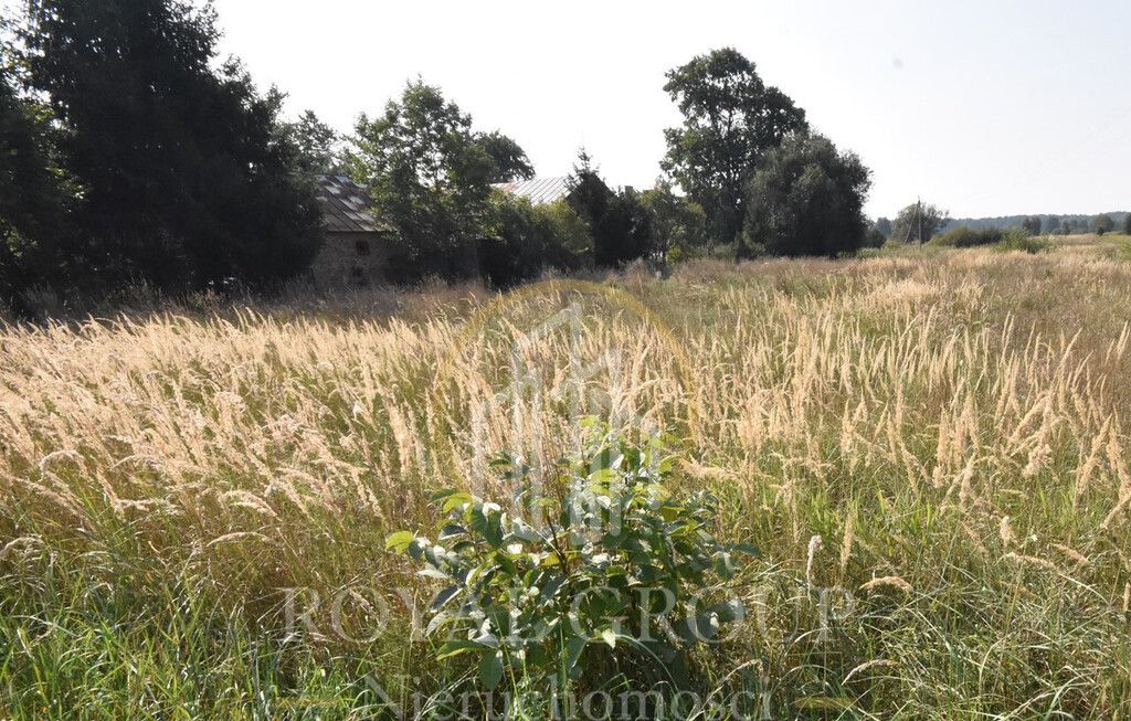 Działka Kamionka. Zdjęcie 3