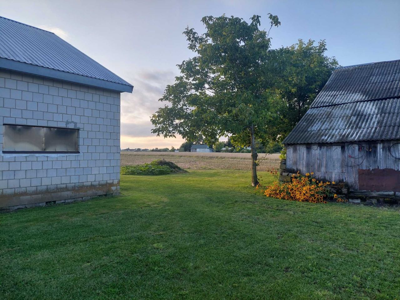 gospodarstwo Wakijów. Zdjęcie 6