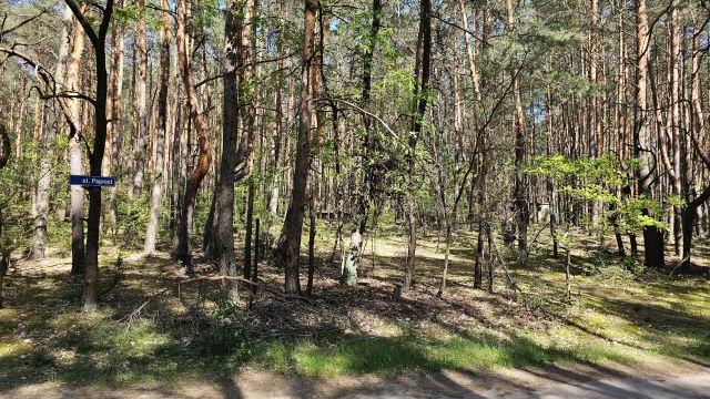 Działka rekreacyjna Popowo-Parcele, ul. Paproci. Zdjęcie 1