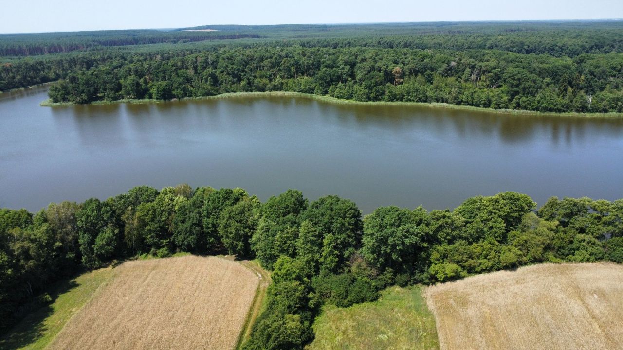 Działka rekreacyjna Radomierz. Zdjęcie 8