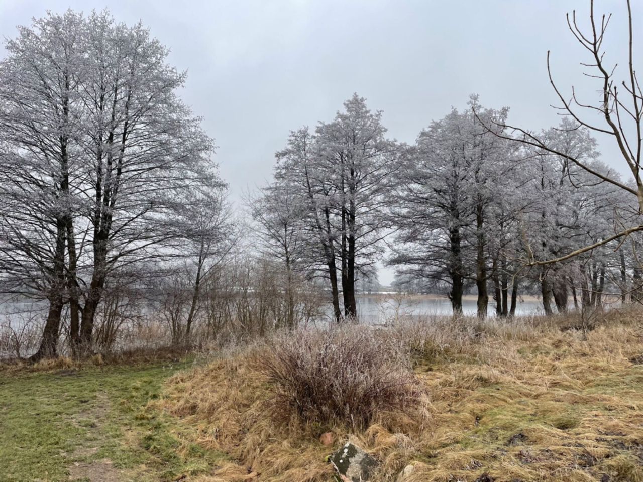 Działka budowlana Jęczniki Wielkie. Zdjęcie 6