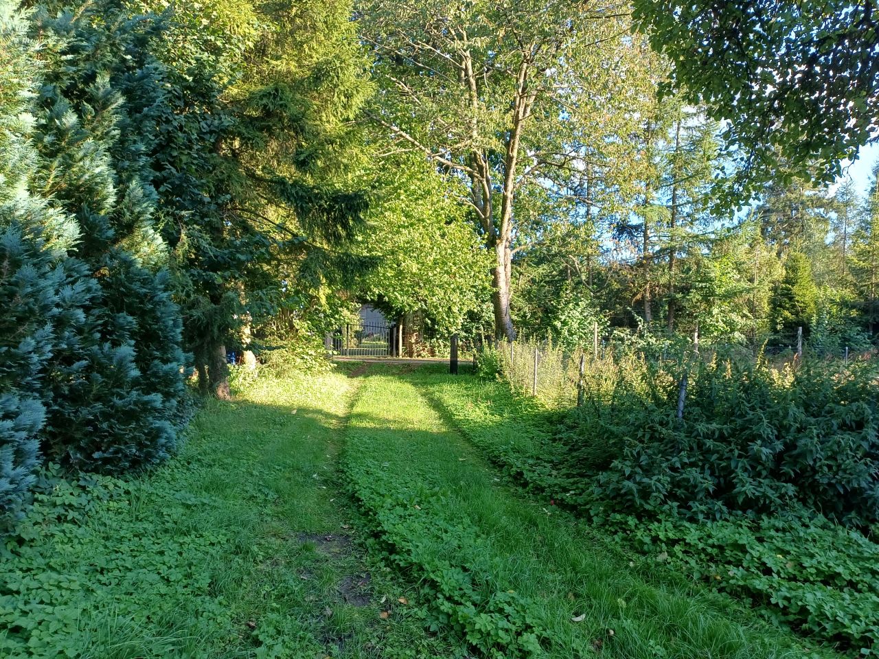 dom wolnostojący, 4 pokoje Grąbkowo. Zdjęcie 2