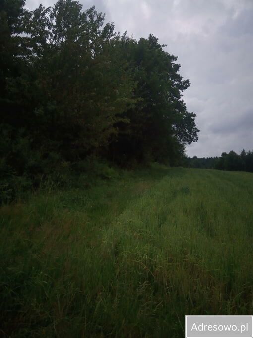 Działka rekreacyjna Kuźmina. Zdjęcie 3