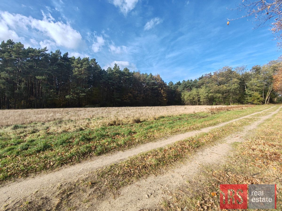 Działka budowlana Dziadowice. Zdjęcie 3