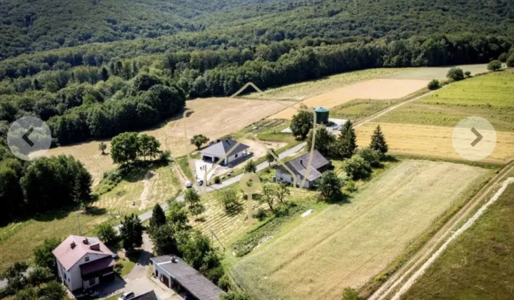 Działka rolno-budowlana Braciejowa