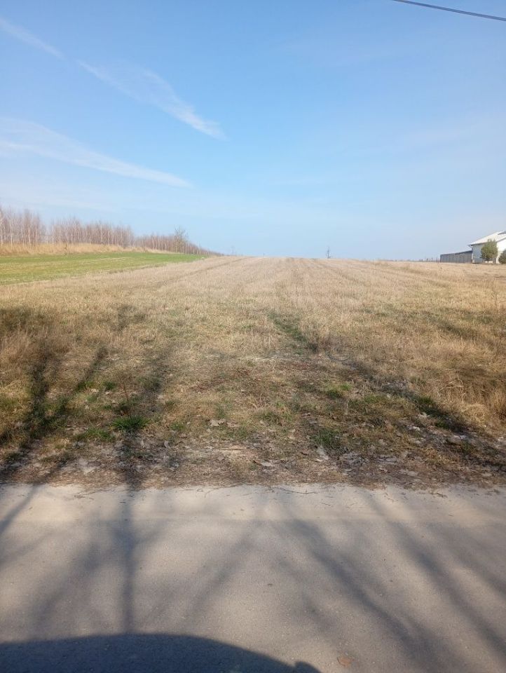 Działka rolno-budowlana Niemścice. Zdjęcie 2