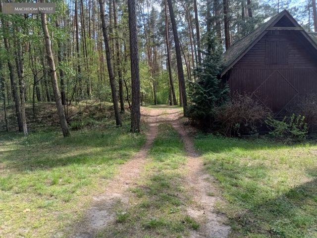 siedlisko, 4 pokoje Tereszewo. Zdjęcie 19