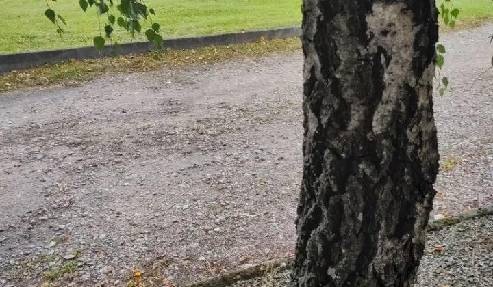 Działka inwestycyjna Strzyżewo Paczkowe