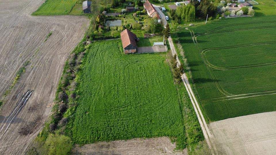 Działka rolno-budowlana Rogajny. Zdjęcie 3