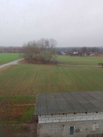 Działka budowlana Boguszówka. Zdjęcie 1