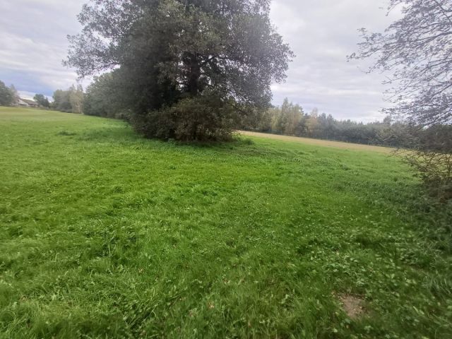Działka rolna Słupia. Zdjęcie 1