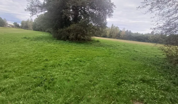 Działka rolna Słupia