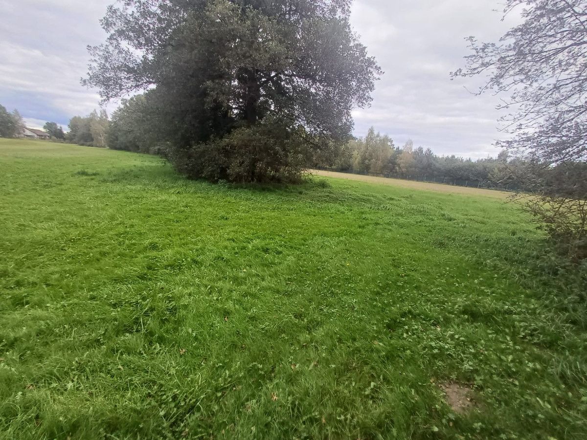 Działka rolna Słupia