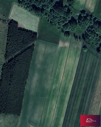 Działka budowlana Bełdów. Zdjęcie 6