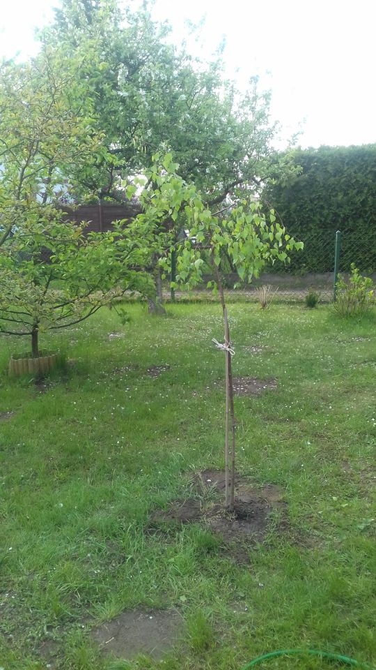 Działka rekreacyjna Kraków Lubocza, ul. Sybiraków. Zdjęcie 5