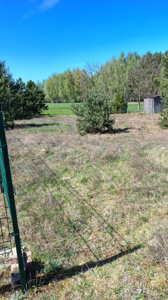 Działka budowlana Zaborówiec. Zdjęcie 6