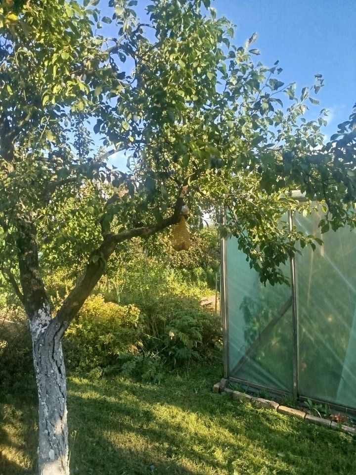 Działka rod Legnica, ul. Spokojna. Zdjęcie 7