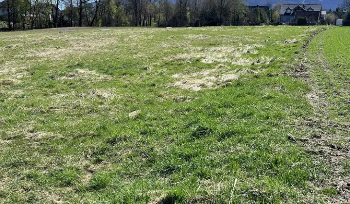 Działka siedliskowa Goleszów Równia