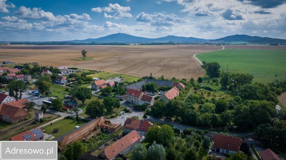 Działka inwestycyjna Miłochów. Zdjęcie 4