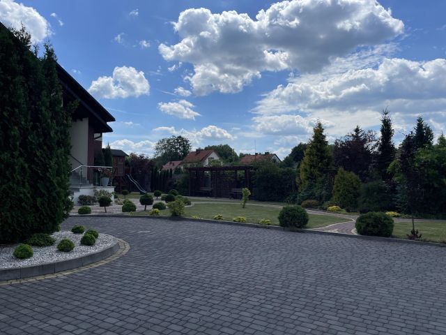 Lokal Grodzisko Dolne Mokrzanka. Zdjęcie 17