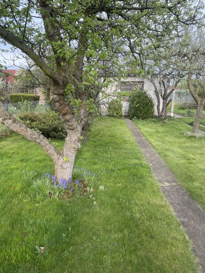 Działka rod Gdynia Oksywie. Zdjęcie 6