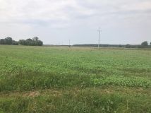 Działka rolna Prusy. Zdjęcie 3