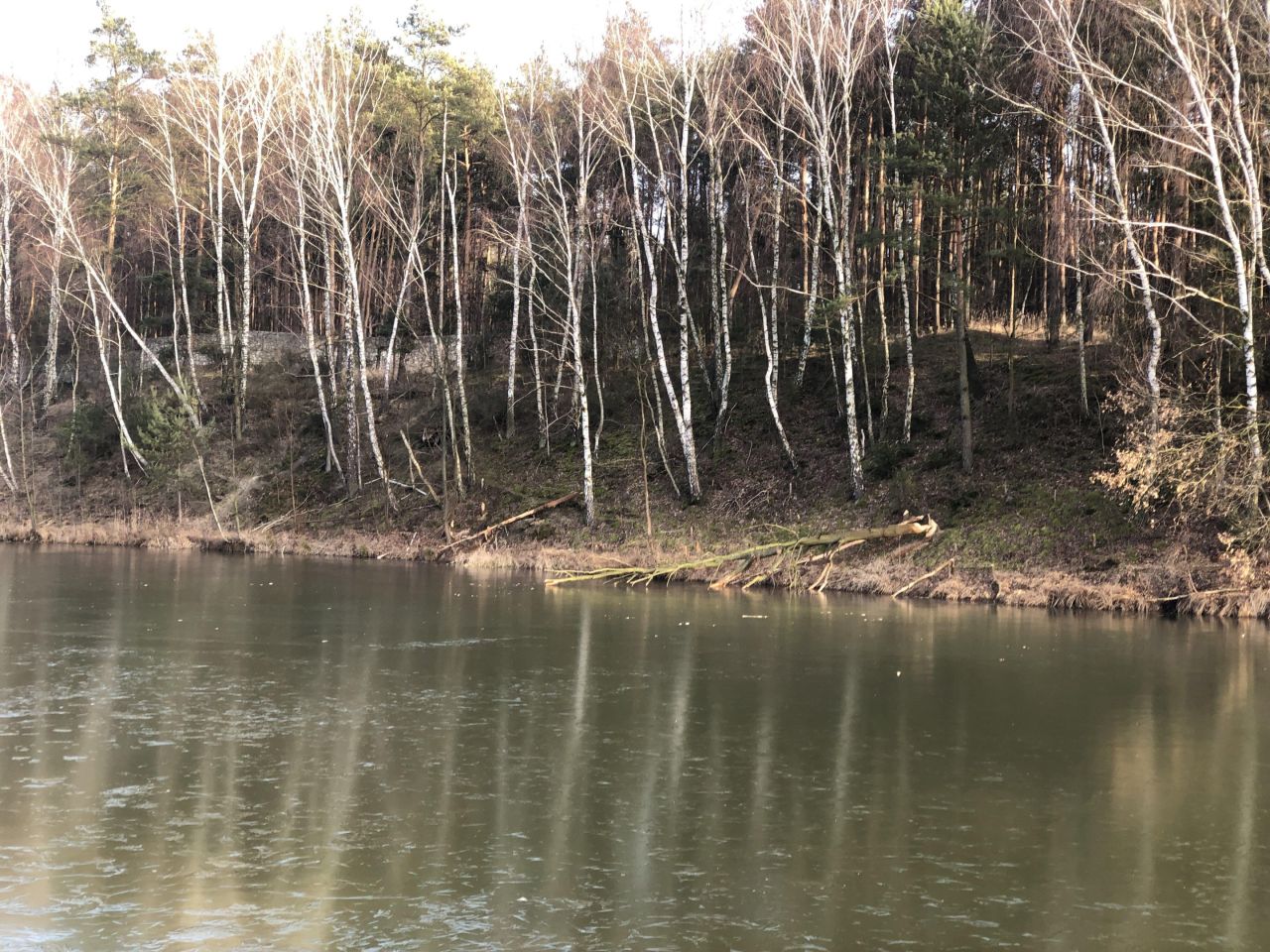 Działka rekreacyjna Osjaków, ul. Wesołe Kąty. Zdjęcie 11