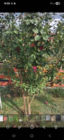 Działka rod Kępno. Zdjęcie 1