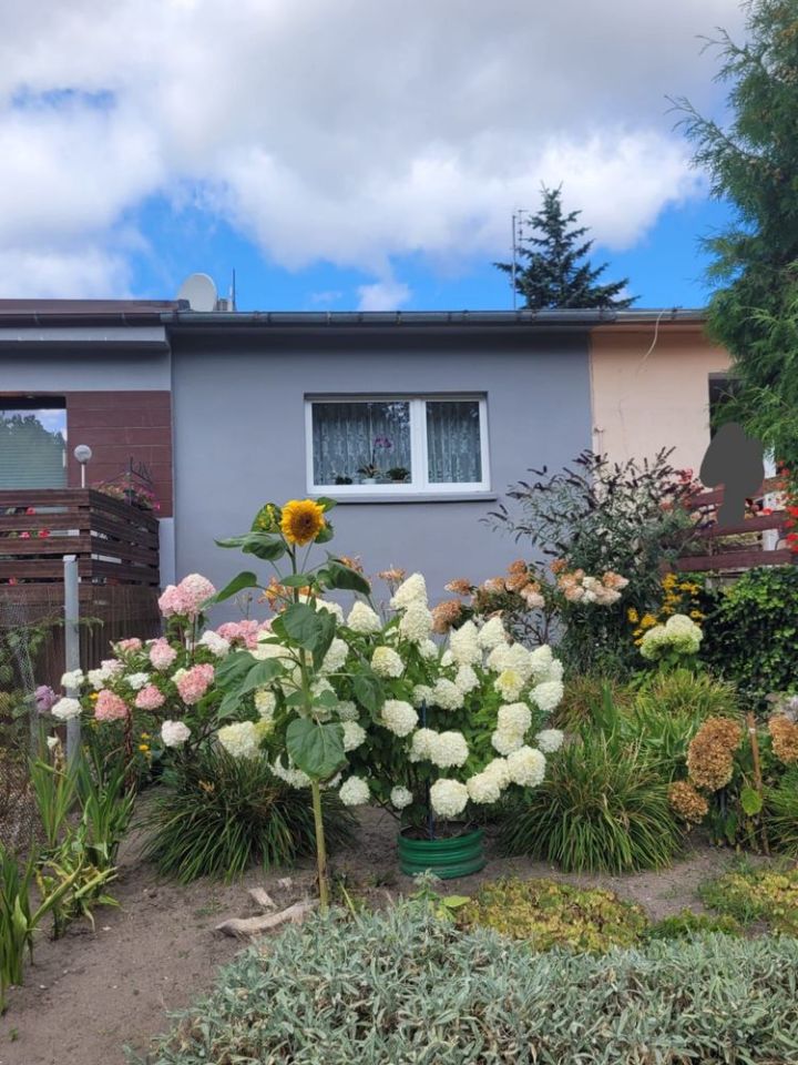 Mieszkanie 2-pokojowe Klępczewo. Zdjęcie 5