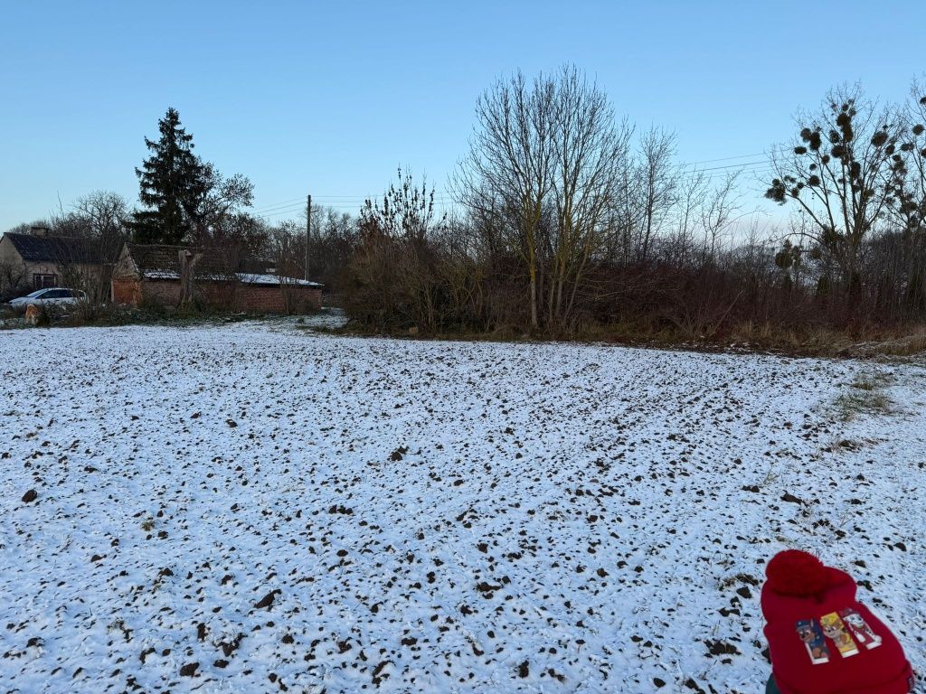 Działka rolno-budowlana Żelichów. Zdjęcie 7