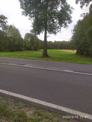 Działka rolna Ościsłowo. Zdjęcie 1