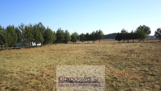 Działka Sekłak. Zdjęcie 9