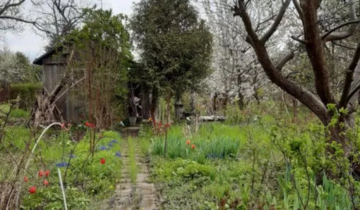 Działka rod Warszawa Mokotów