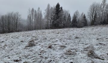 Działka budowlana Zawoja