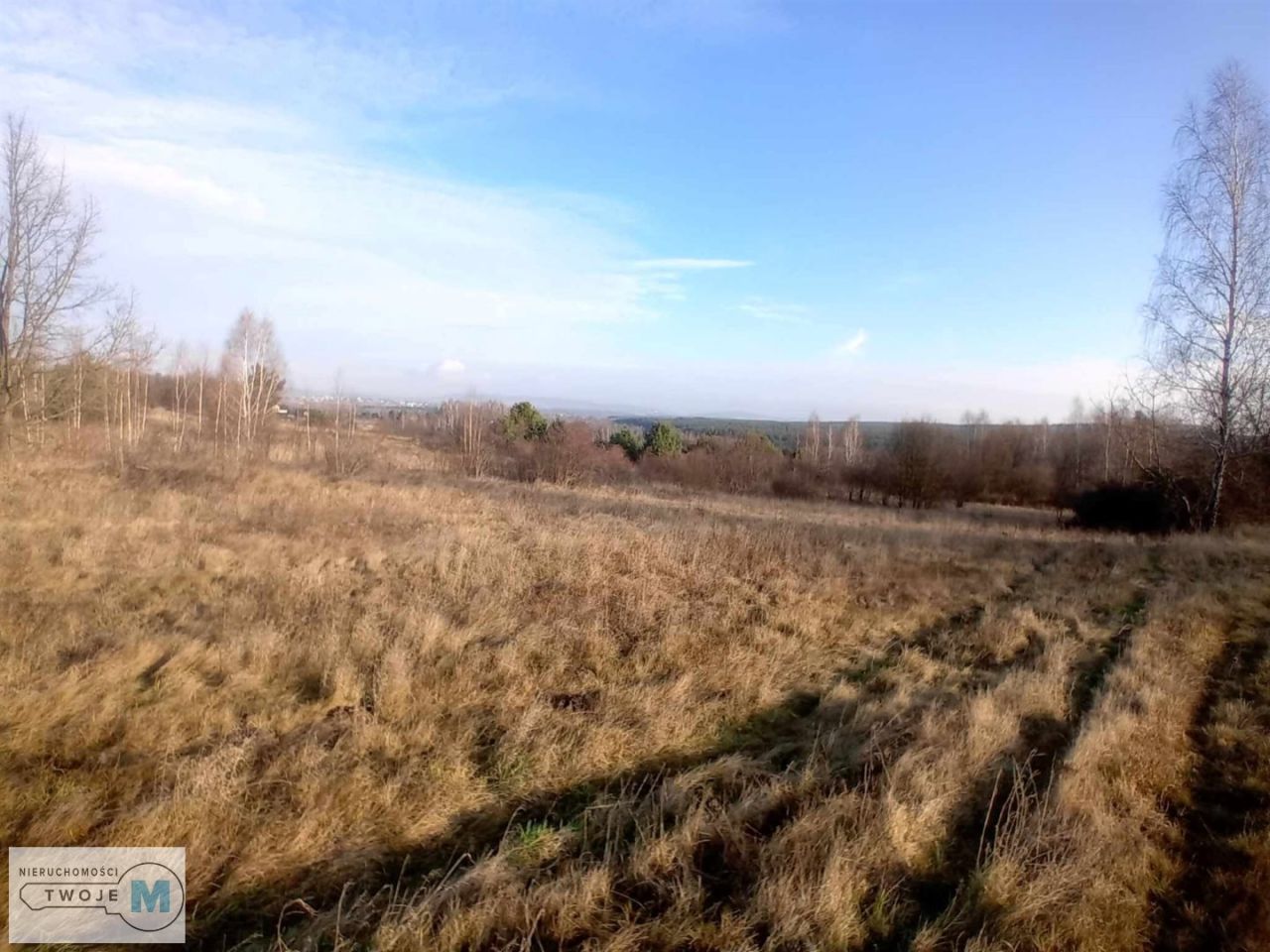 Działka inwestycyjna Daleszyce. Zdjęcie 7