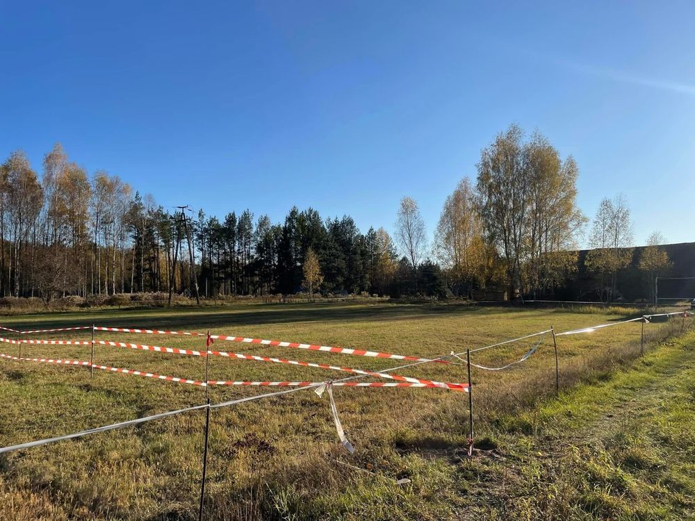 Działka siedliskowa Zasady. Zdjęcie 6