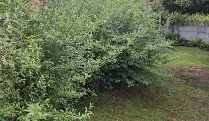 Działka rod Rzeszów Pobitno, ul. Polna