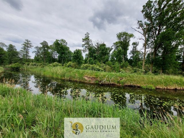 Działka Karszyn. Zdjęcie 8